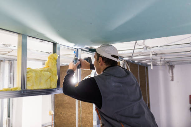 Types of Insulation We Offer in Vadnais Heights, MN
