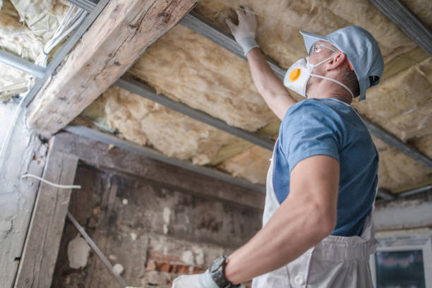 Trusted Vadnais Heights, MN Insulation Contractor Experts