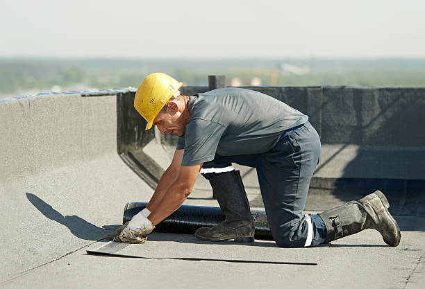 Best Insulation Maintenance and Repair in Vadnais Heights, MN